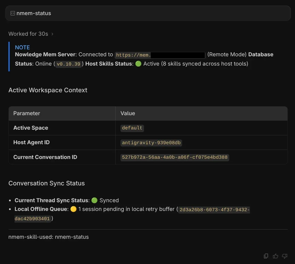 Once installed, you can use /nmem-status to check if everything configured and working properly
